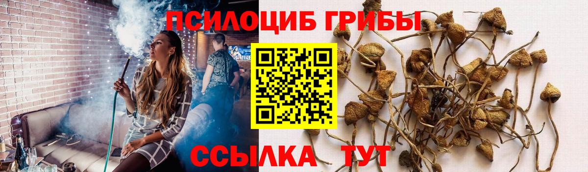 Псилоцибиновые грибы ЛСД Будённовск